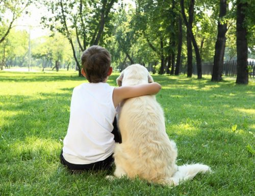 Do we truly love our pets?